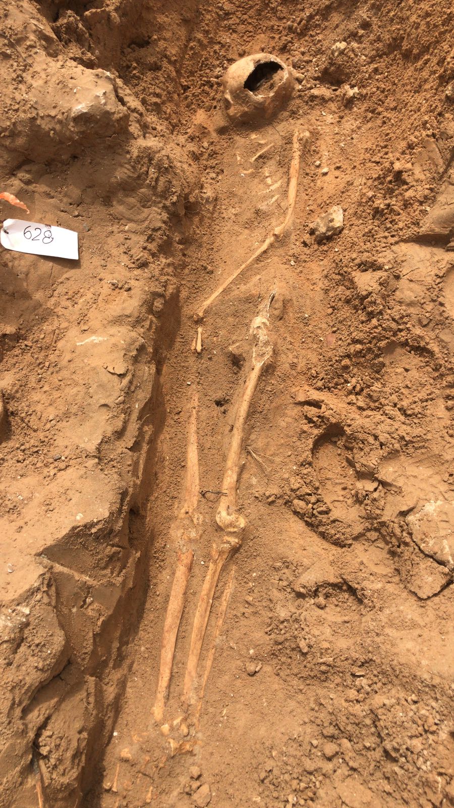 WhatsApp Image 2020-06-17 at 9.30.52 AM (2).jpeg.jpeg